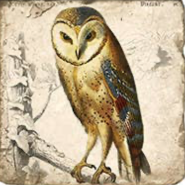 Vintage Owls Tumbled Marble Coaster