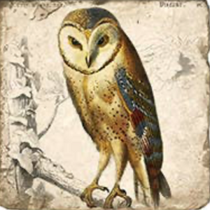 Vintage Owls Tumbled Marble Coaster