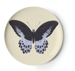 Metamorphosis Butterfly Coaster, Melamime