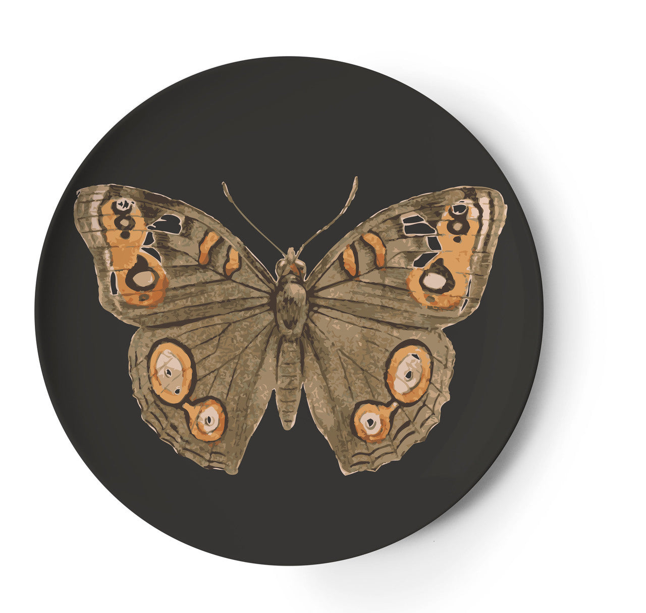Metamorphosis Butterfly Coaster, Melamime