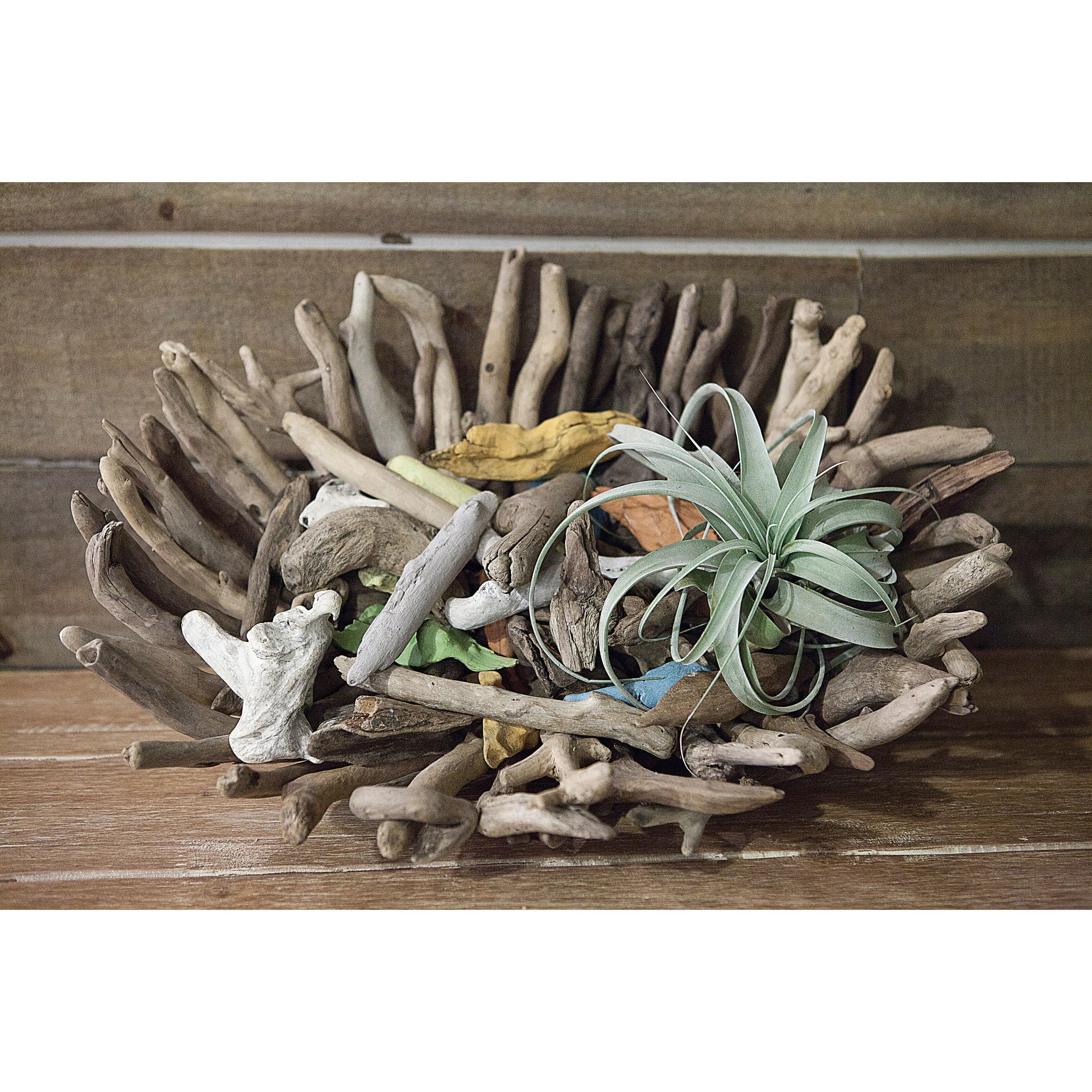 Decorative Driftwood Bowl