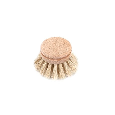 Everyday Dishbrush Refill